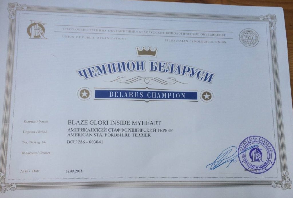 Blaze Glory Inside My Heart Belarus Champion