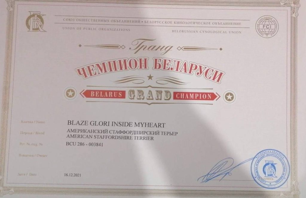 Blaze Glory Inside My Heart Belarus Grand Champion
