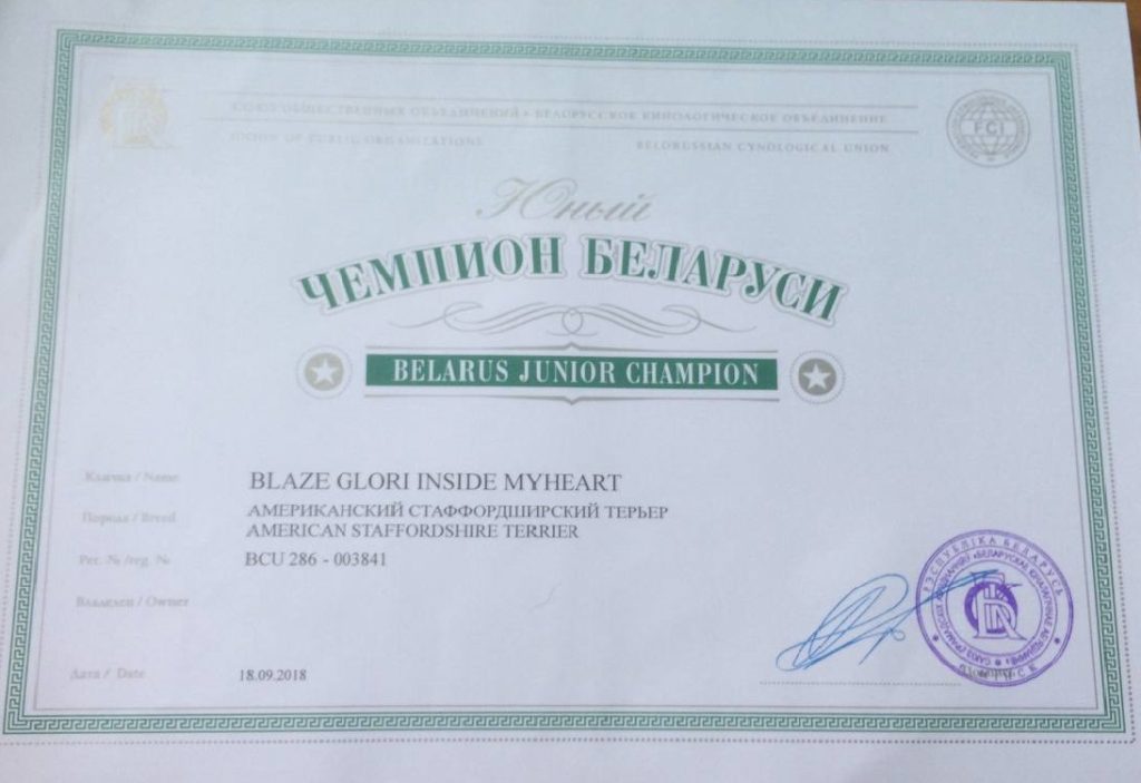 Blaze Glory Inside My Heart Belarus Junior Champion
