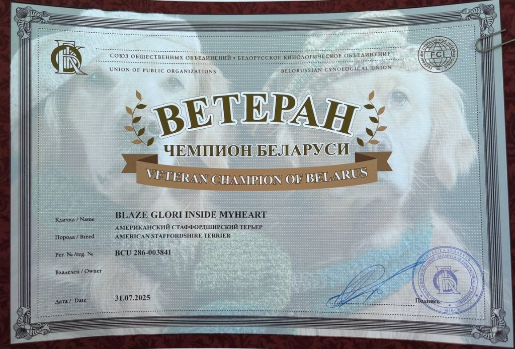 Blaze Glory Inside My Heart Champion Veteran Belarus