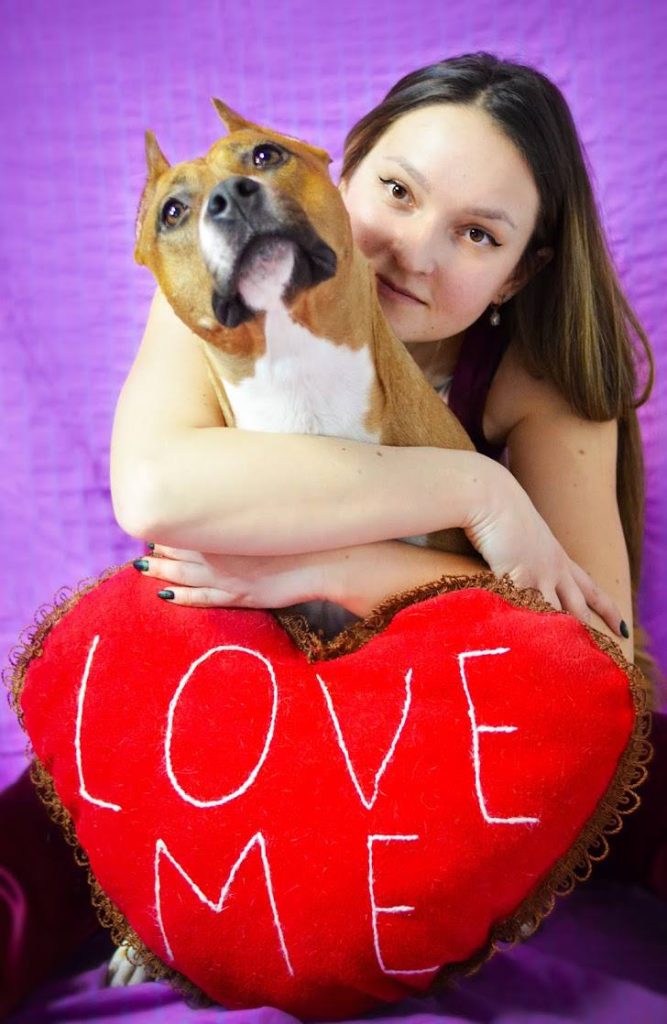 Amstaff champion Atomic Bomb Glorysband kennel — American Staffordshire Terrier