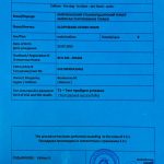 American Staffordshire Terrier T1 temperament examination — обследование психики амстаффа питомник Glorysband