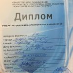 Glorysband Gangster T1 1 — Amstaff купить амстаффа Беларусь