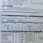 Glorysband Gangster eyes 1 — Amstaff купить амстаффа Беларусь