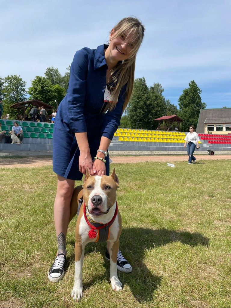 amstaff Chester
