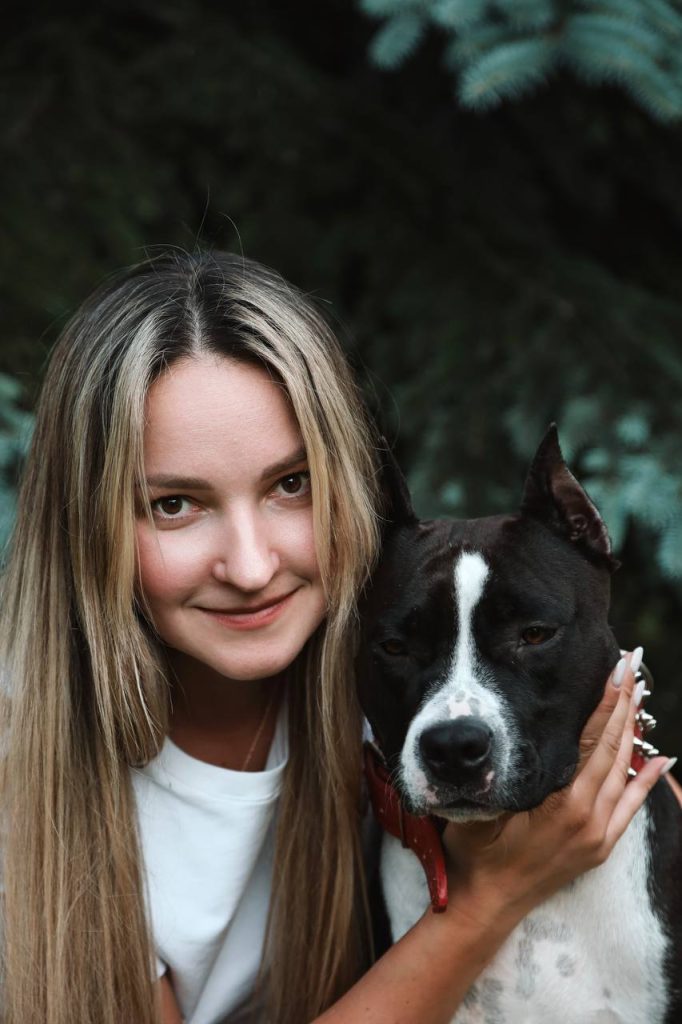 Amstaff champion Maleficent Glorysband kennel — American Staffordshire Terrier чемпион Глорисбэнд