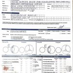 Indigo Winning Colour for Glorysband from Emerland eyes — Amstaff купить амстаффа Беларусь